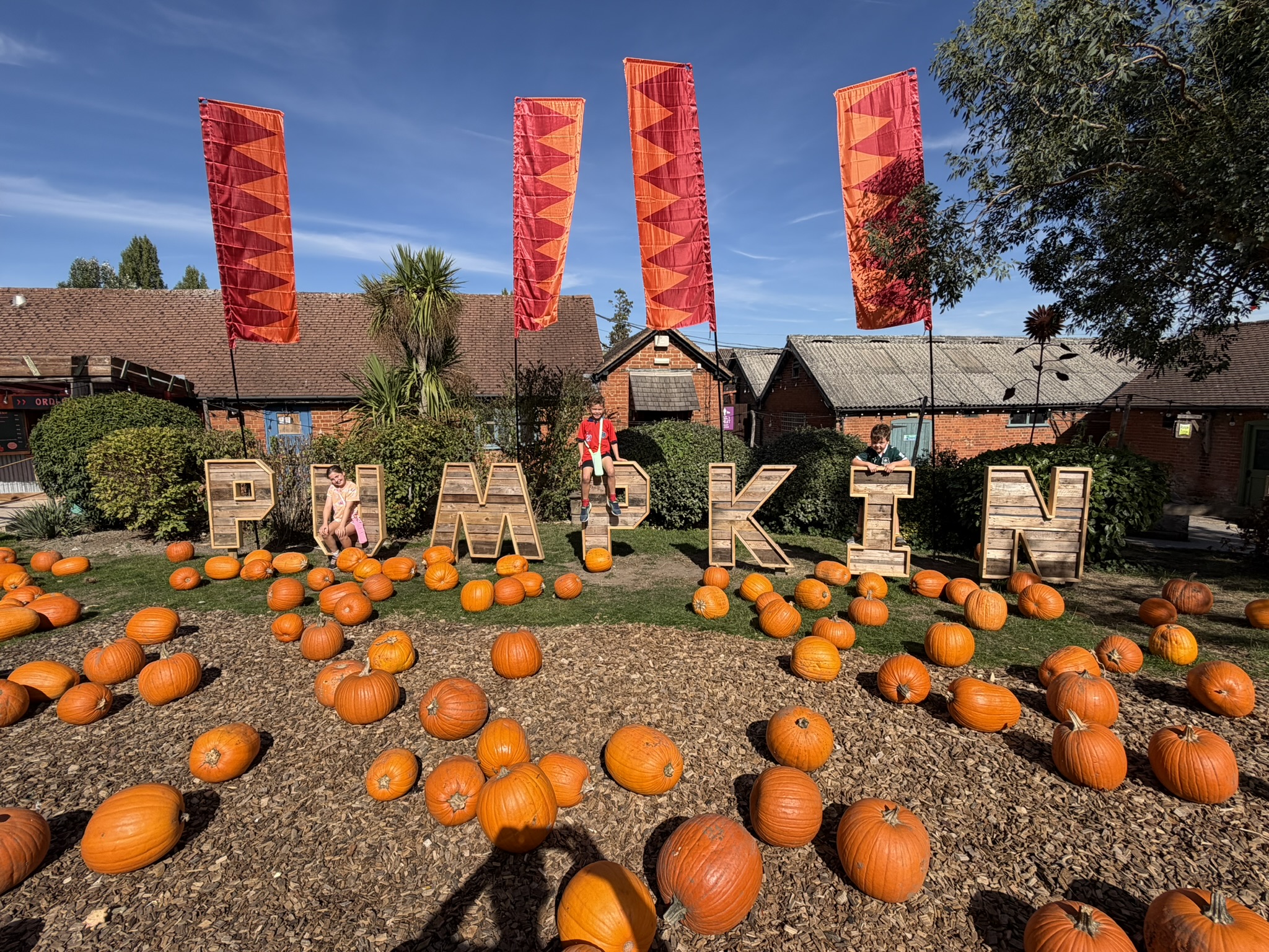 Halloween & Pumpkin Picking London, Kent & Surrey 2026